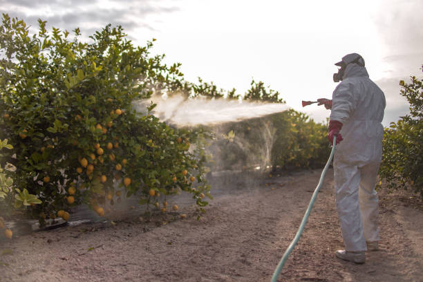 Seasonal Pest Control in Scappoose, OR